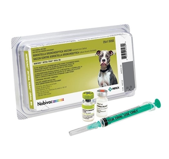 Nobivac Intra-Trac Oral Bb Bordatella Dog Vaccine 25 x 1 Dose