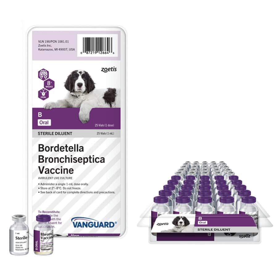 VANGUARD® B ORAL Bordetella Vaccine for Dogs 25 x 1 Dose