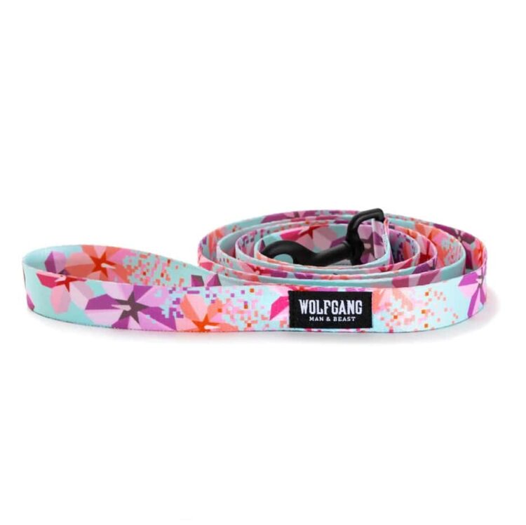 Wolfgang DigiFloral Light Blue, Purple & Pink Dog Leash
