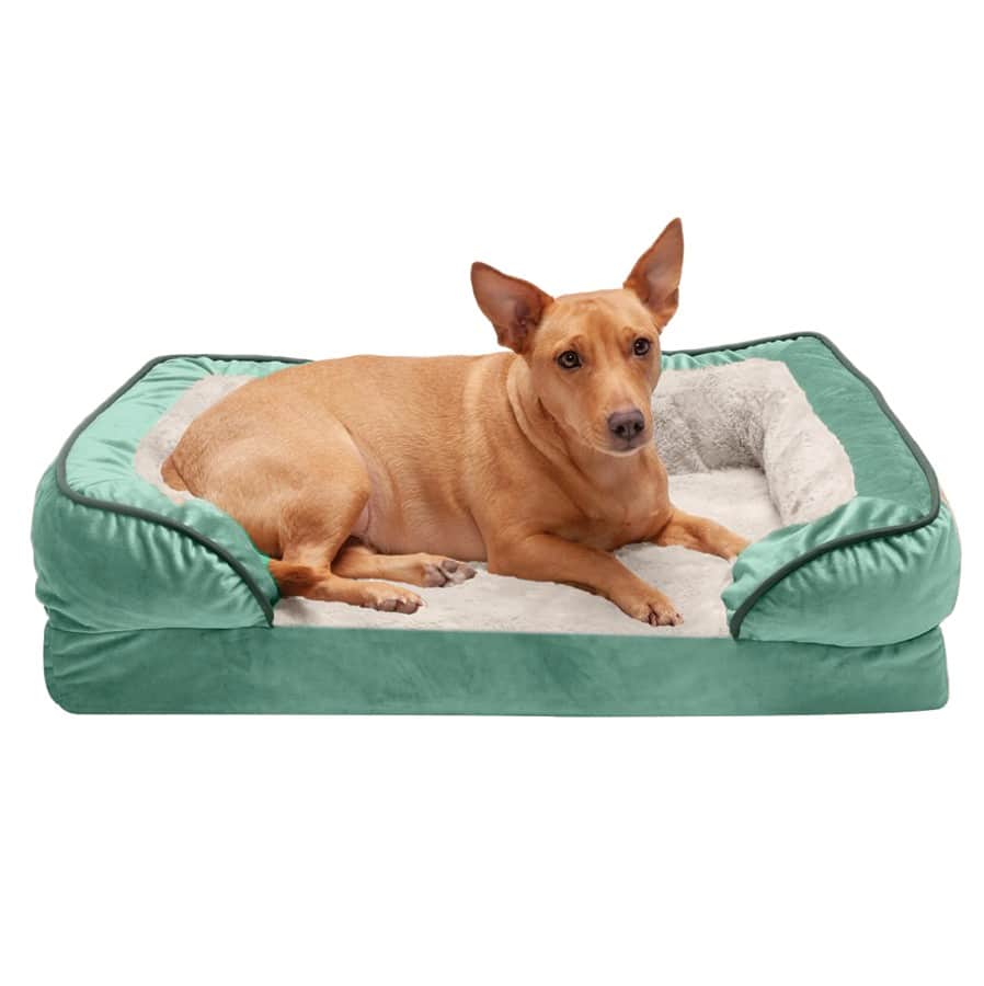 Furhaven Velvet Waves Orthopedic Sofa Dog Bed