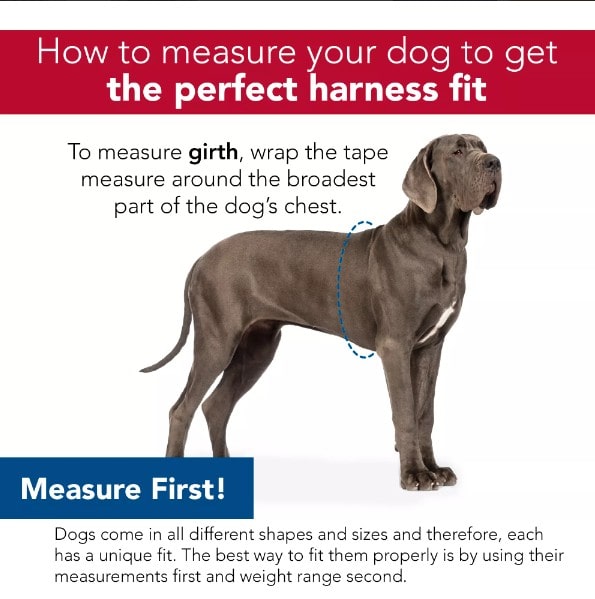 adjustable-soft-wrap-relfective-harness