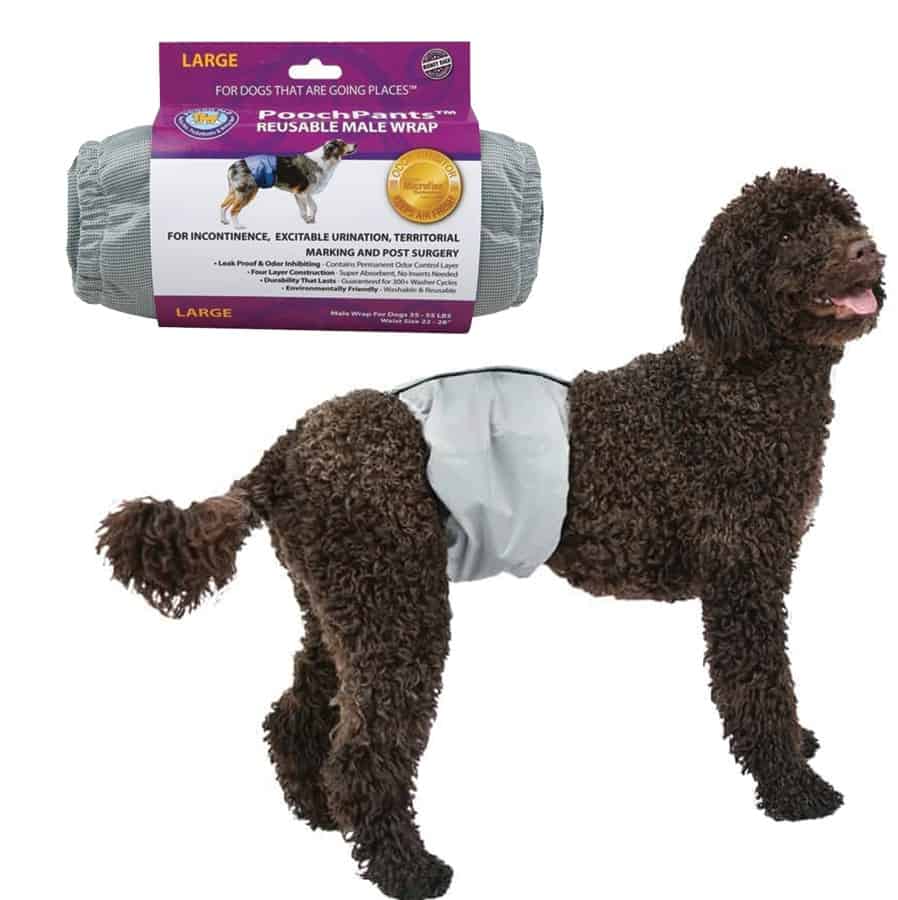 PoochPants Reusable Dog Male Wrap Large