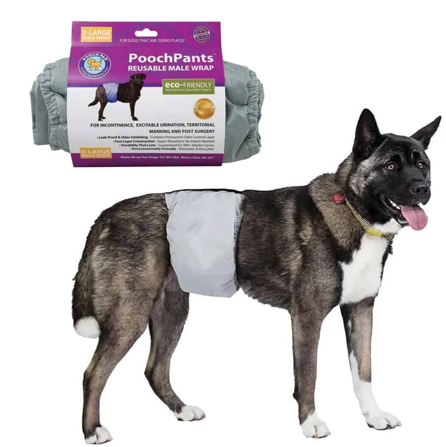 PoochPants Reusable Dog Male Wrap X-Large