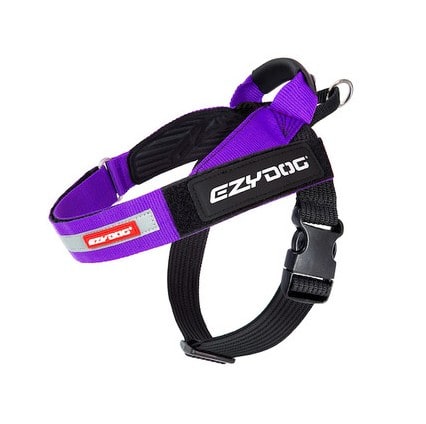 express-harness-purp