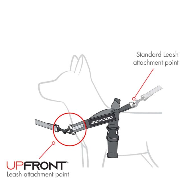EzyDog Express Dog Harness