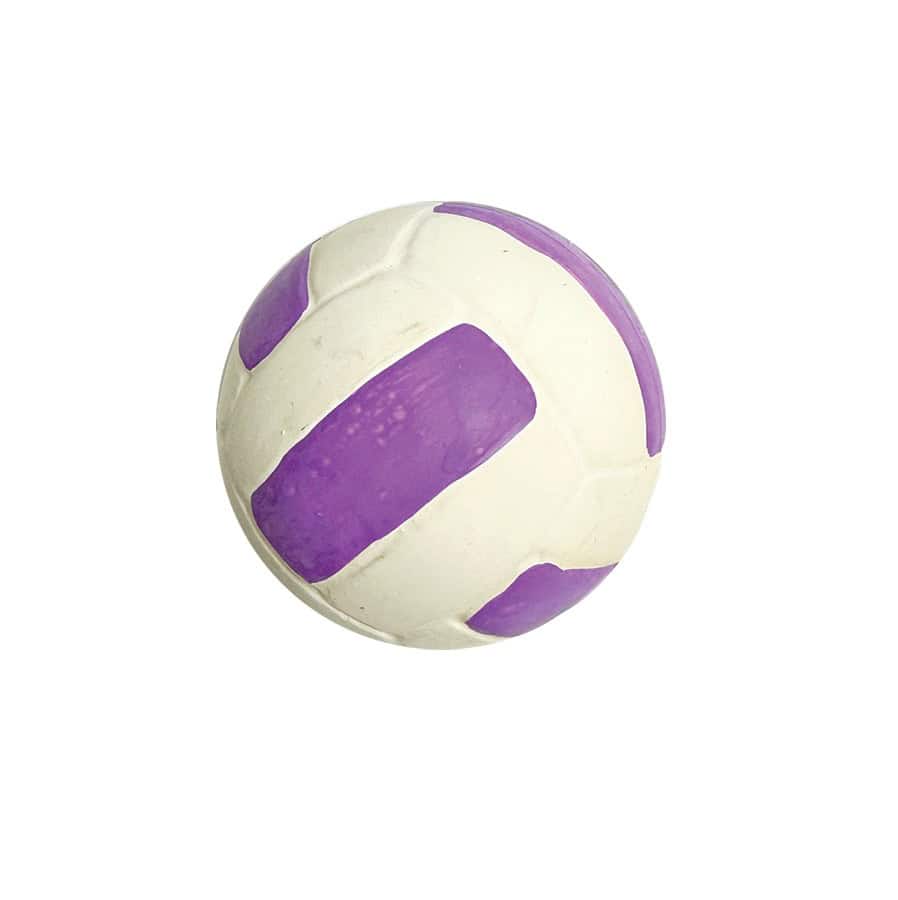 Amazing Pet Products Latex Squeaker Volleyball Dog Toy