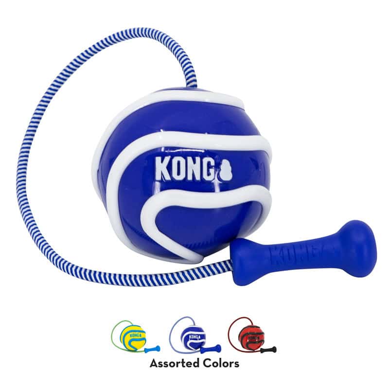 KONG Assorted Bunji High-Viz Ball Dog Toy Medium