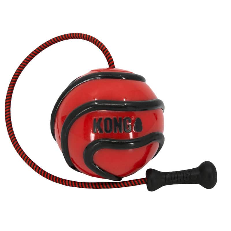KONG Assorted Bunji High-Viz Ball Dog Toy Medium
