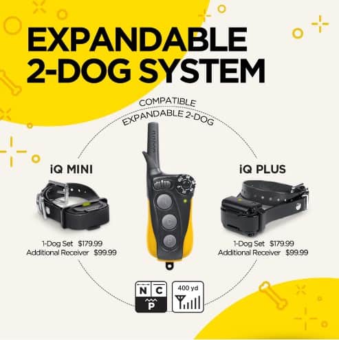 Dogtra-IQ-Mini-3