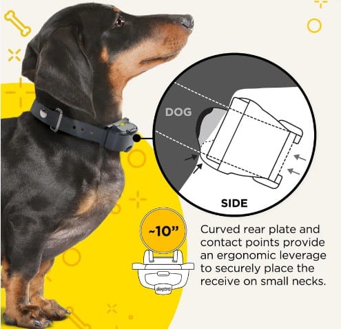 Dogtra-IQ-Mini-4