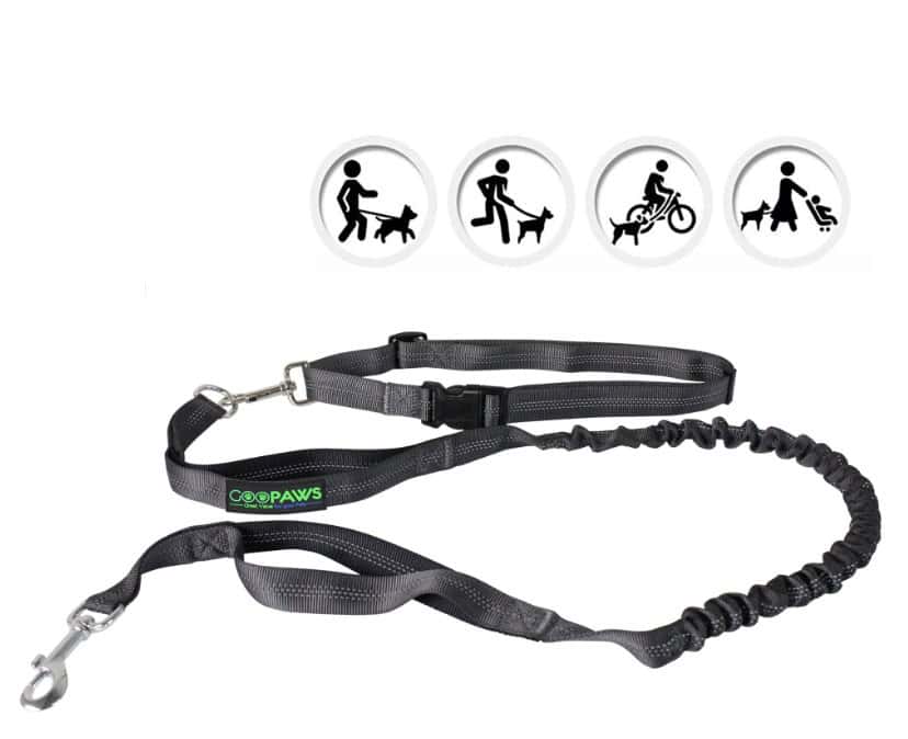 GOOPAWS No Pull Hands Free Bungee Leash 4'