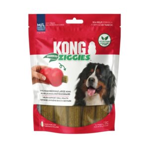 kong-ziggies-lg