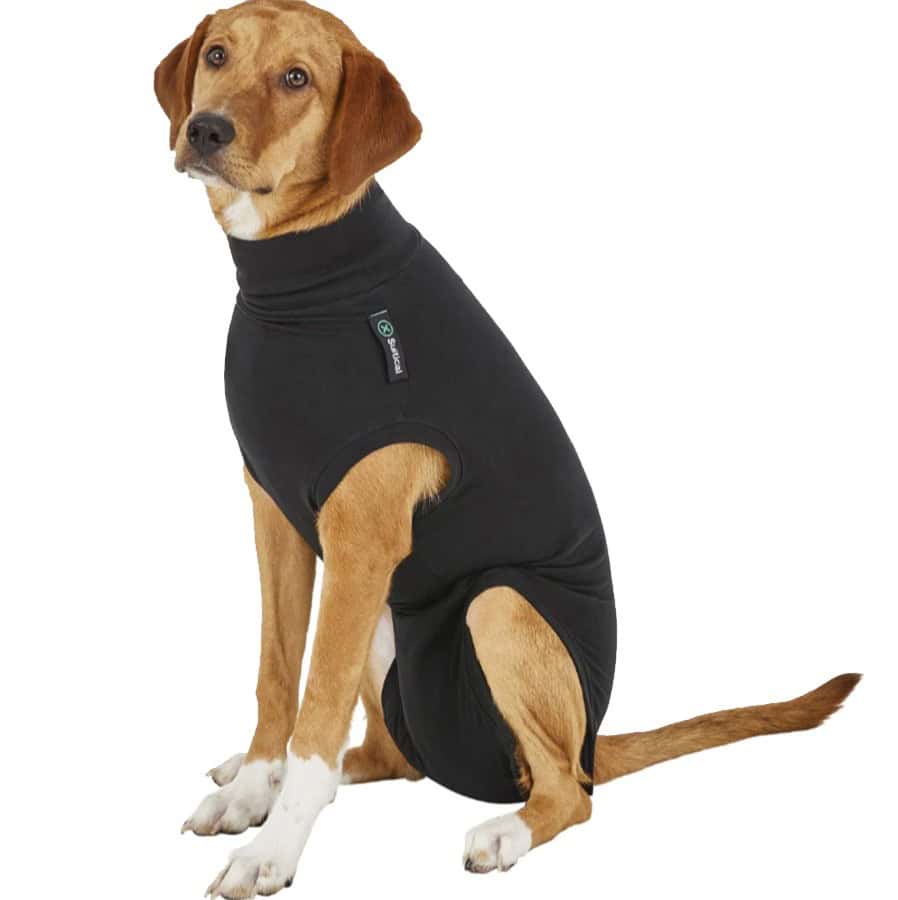 Suitical Recovery Suit for Dogs