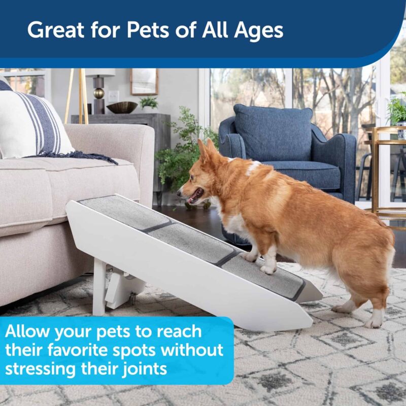 PetSafe-CozyUp-Steps-Ramp-Combo-2