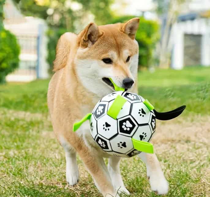 Dog Soccer Ball with Loops 6"
