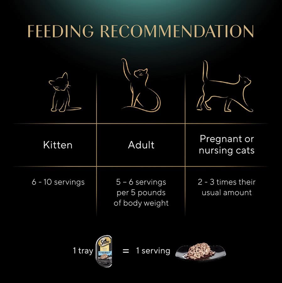 SHEBA-PP-Whitefish-and-Tuna-Cuts-INFO