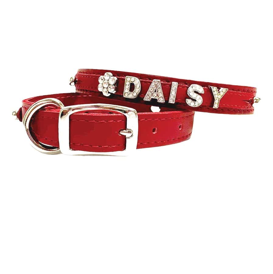 Signature Leather Red Slider Collar