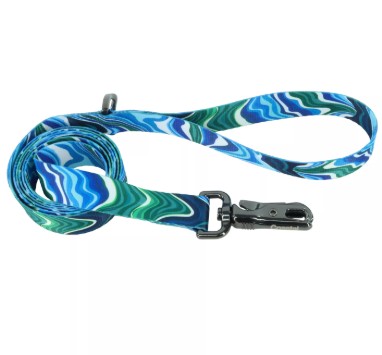 Coastal Inspire Magic Wave Dog Leash