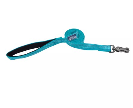 K9 Explorer Brights Reflective Dog Leash Ocean Blue