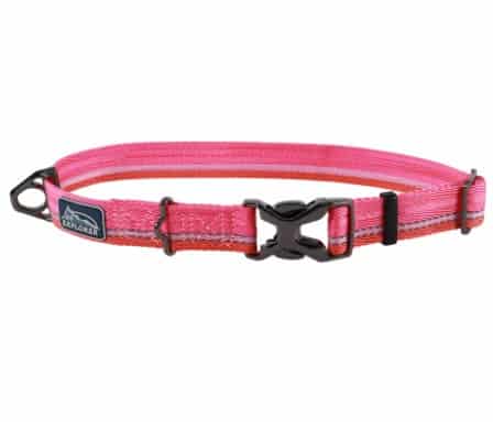 K9 Explorer Trek Adjustable Dog Collar PINK