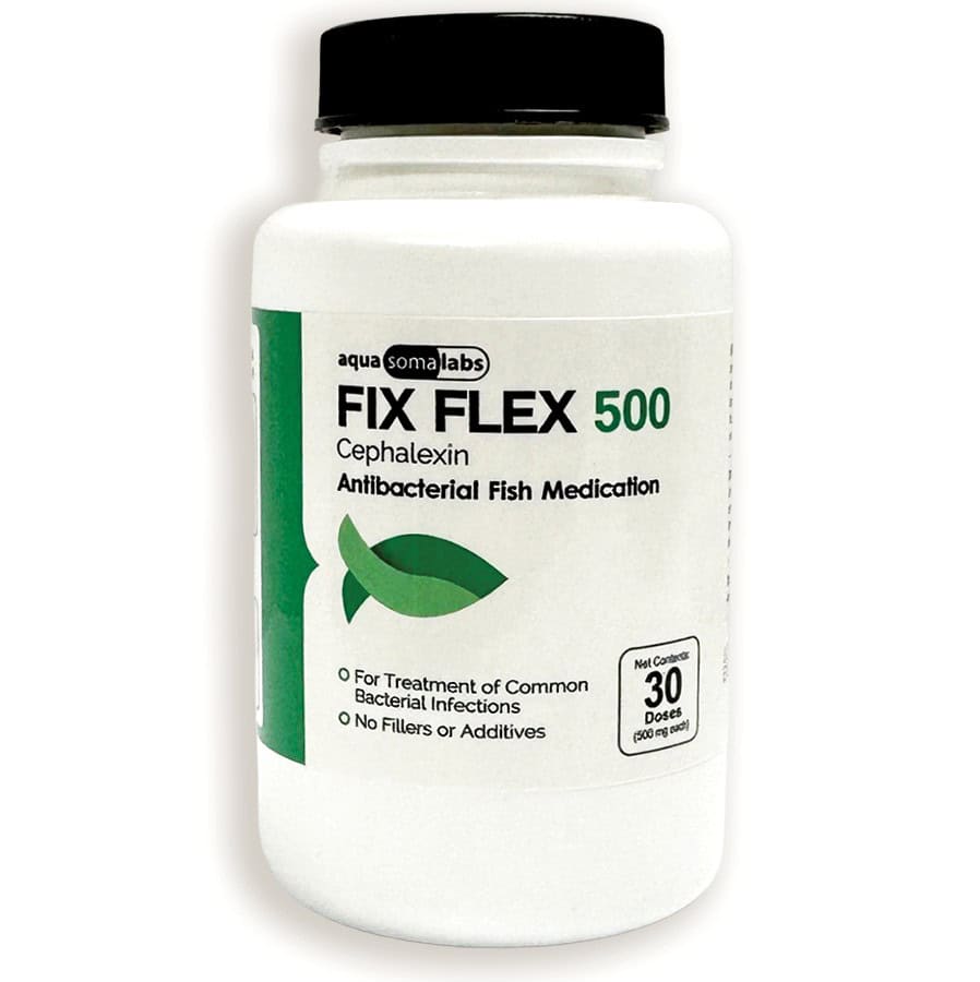 Fix Flex (Cephalexin) Capsules Fish Antibiotics