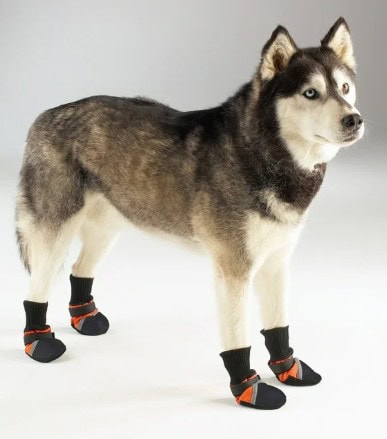 Guardian Gear Winter Dog Boots Set of 4