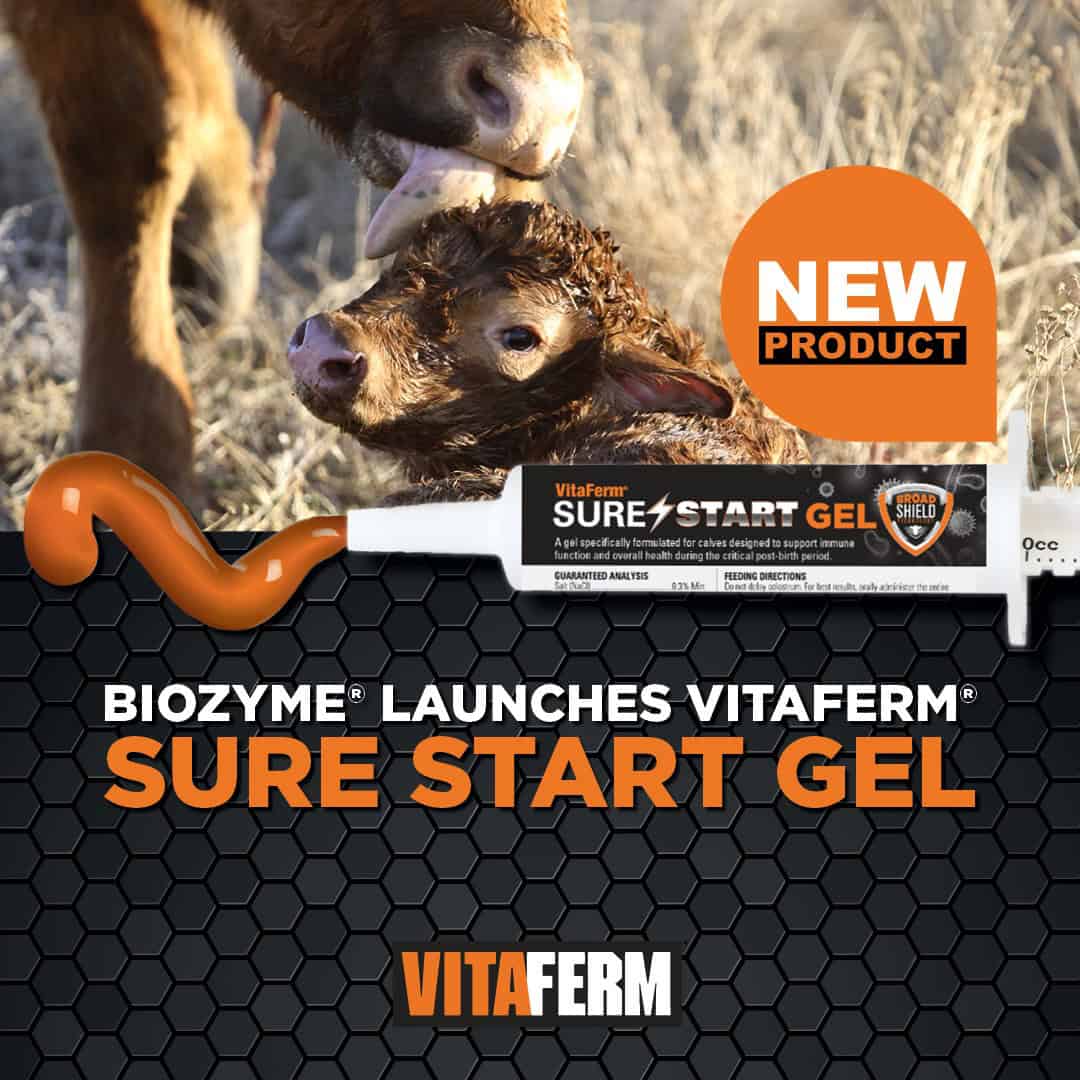 VitaFerm-Sure-Start-Gel-INFO