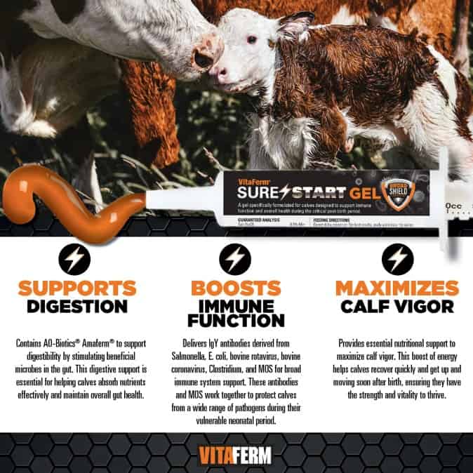VitaFerm Sure Start Gel for Calves 30 mL