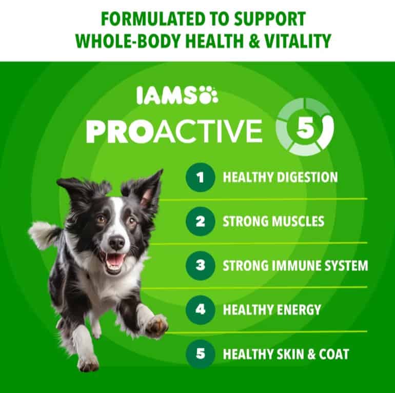 IAMS-PH-Beef-Rice-Minichunks-INFO2