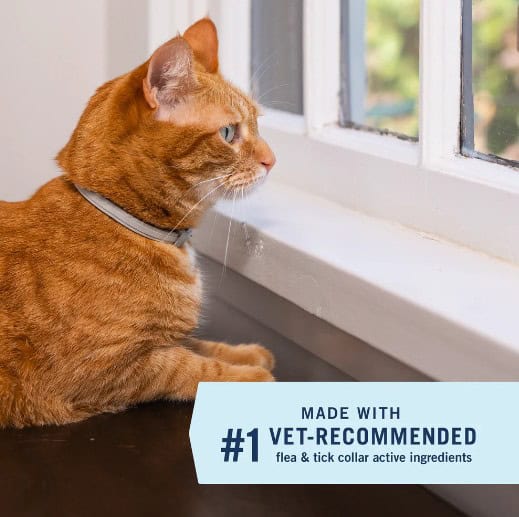 PetArmor-Cat-INFO