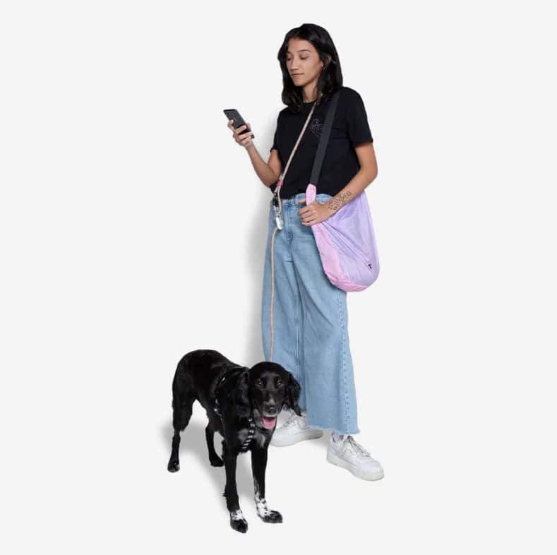 ZeeDog-Hands-Free-Leash-Gravity-INFO3